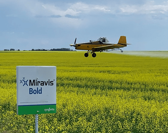 Miravis Bold Aerial App