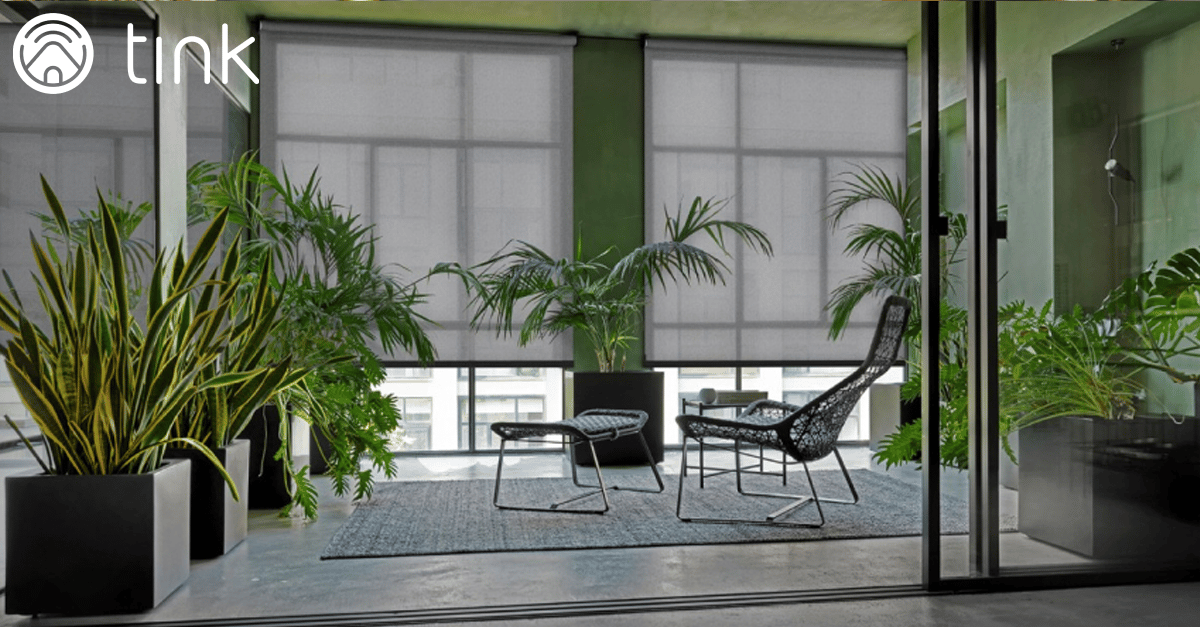 Interior design, Terrestrial plant, Building, Chair, Houseplant, Flooring, Floor