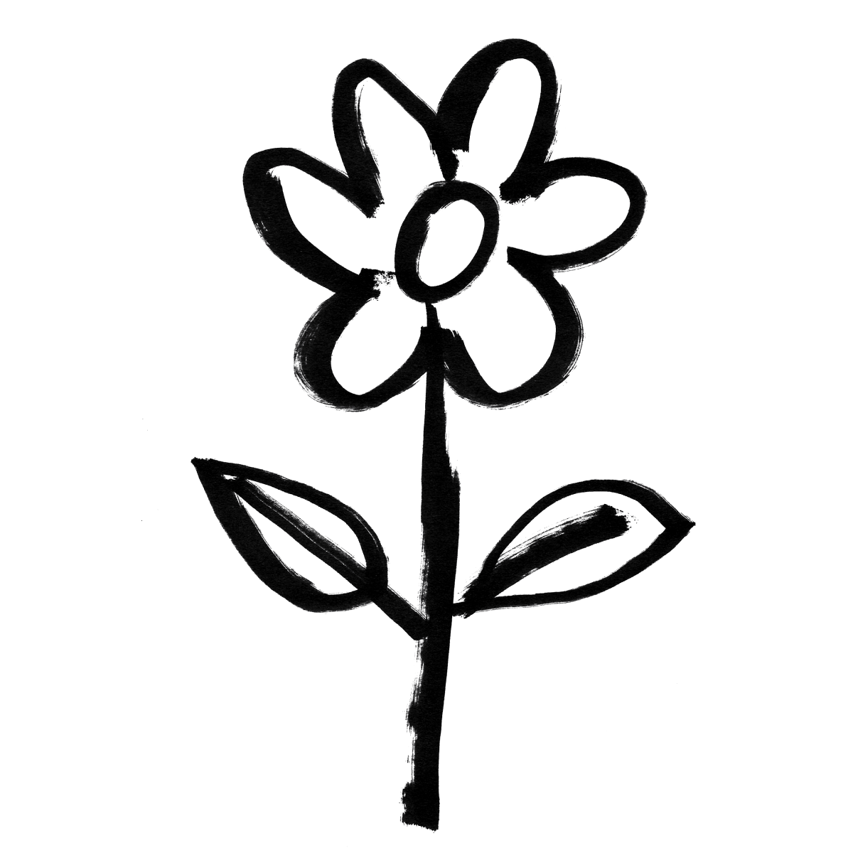 Herbaceous plant, Flower, Petal