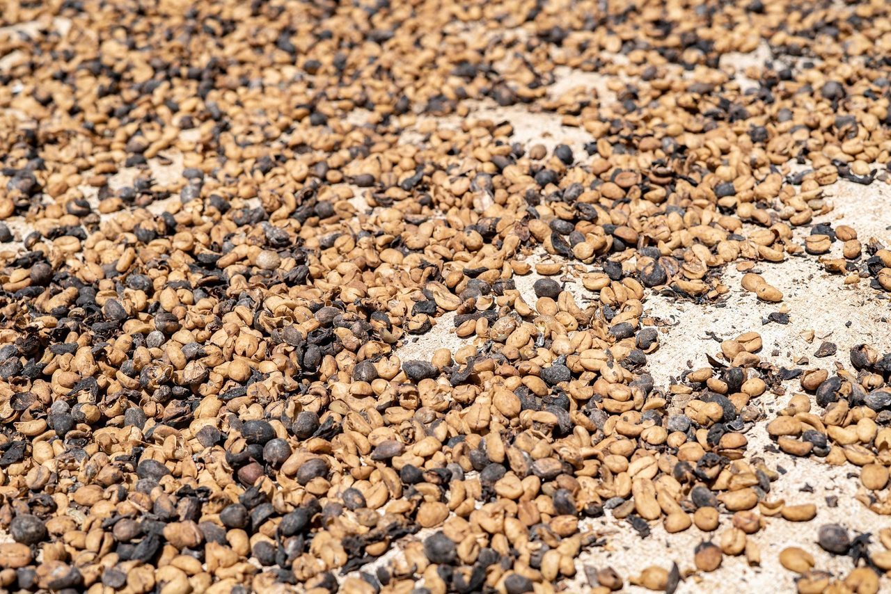 Gravel, Pebble, Close-up