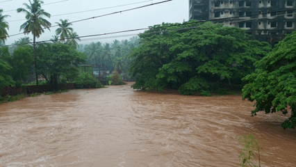 A wide, muddy, fast-flowing river, likely flooded, with dense green trees on both banks under an overcast sky.
