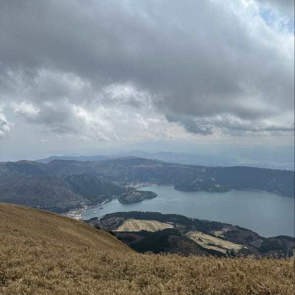 Panoramic view of a lake, town, and mountains under cloudy skies, with dry grass in the foreground.