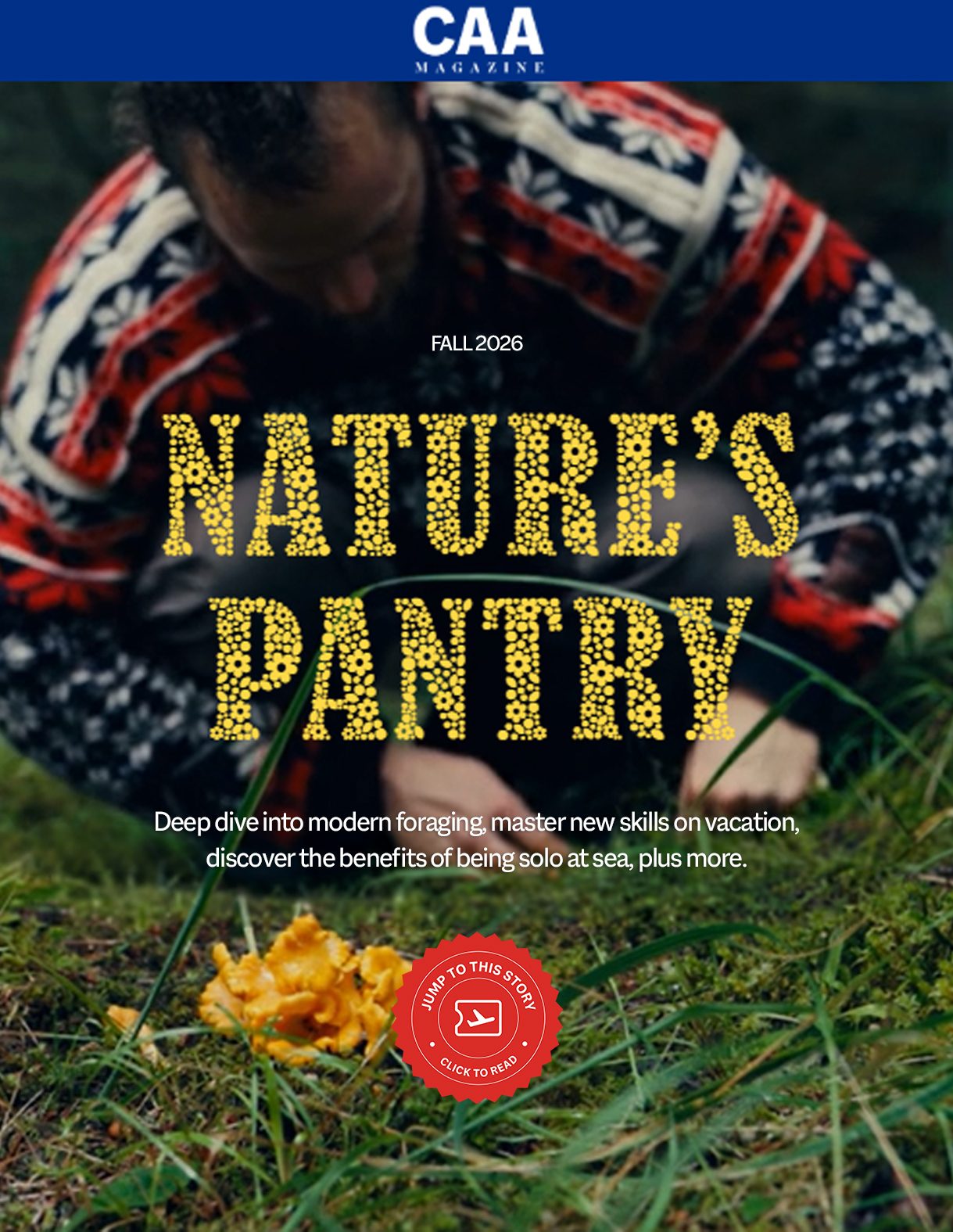 A person foraging in the woods, with text about modern foraging, new skills, and solo travel.