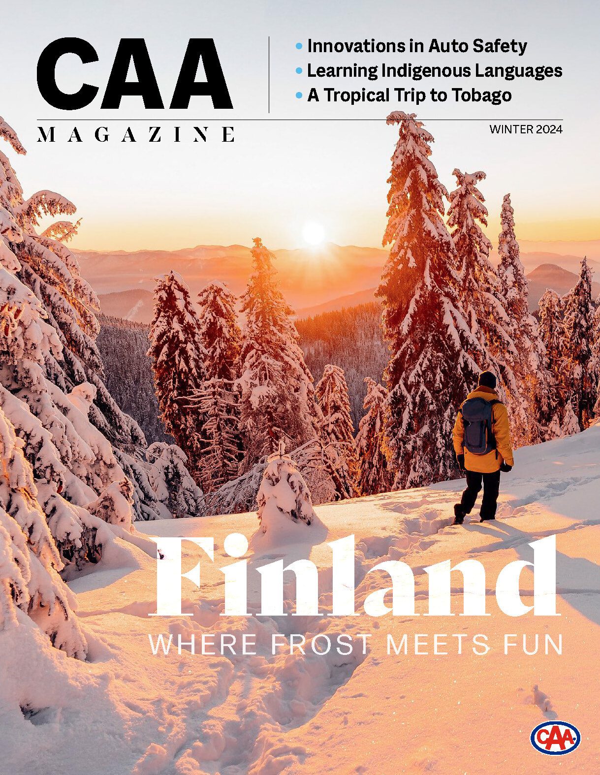 Advertising, Publication