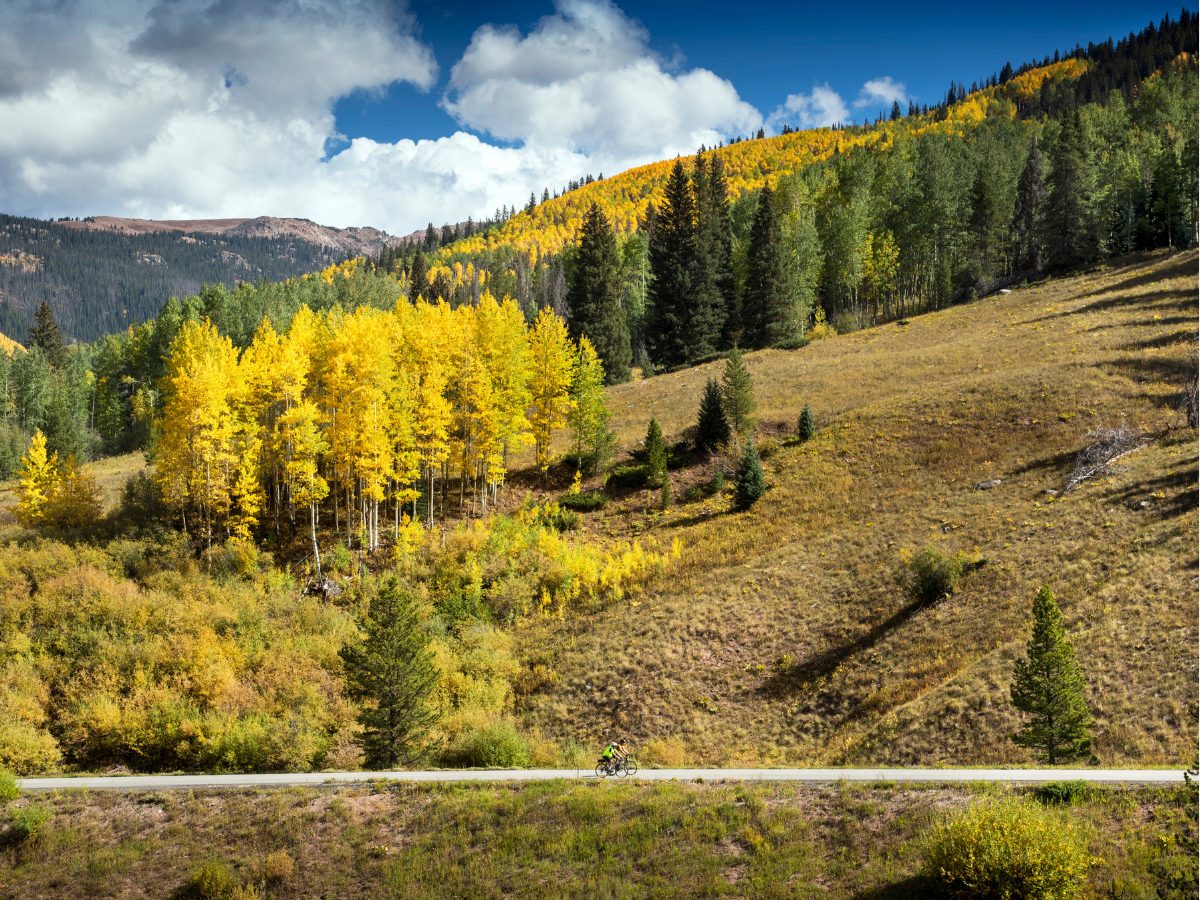 Autumn mountain road, vibrant yellow aspens, and a cyclist.