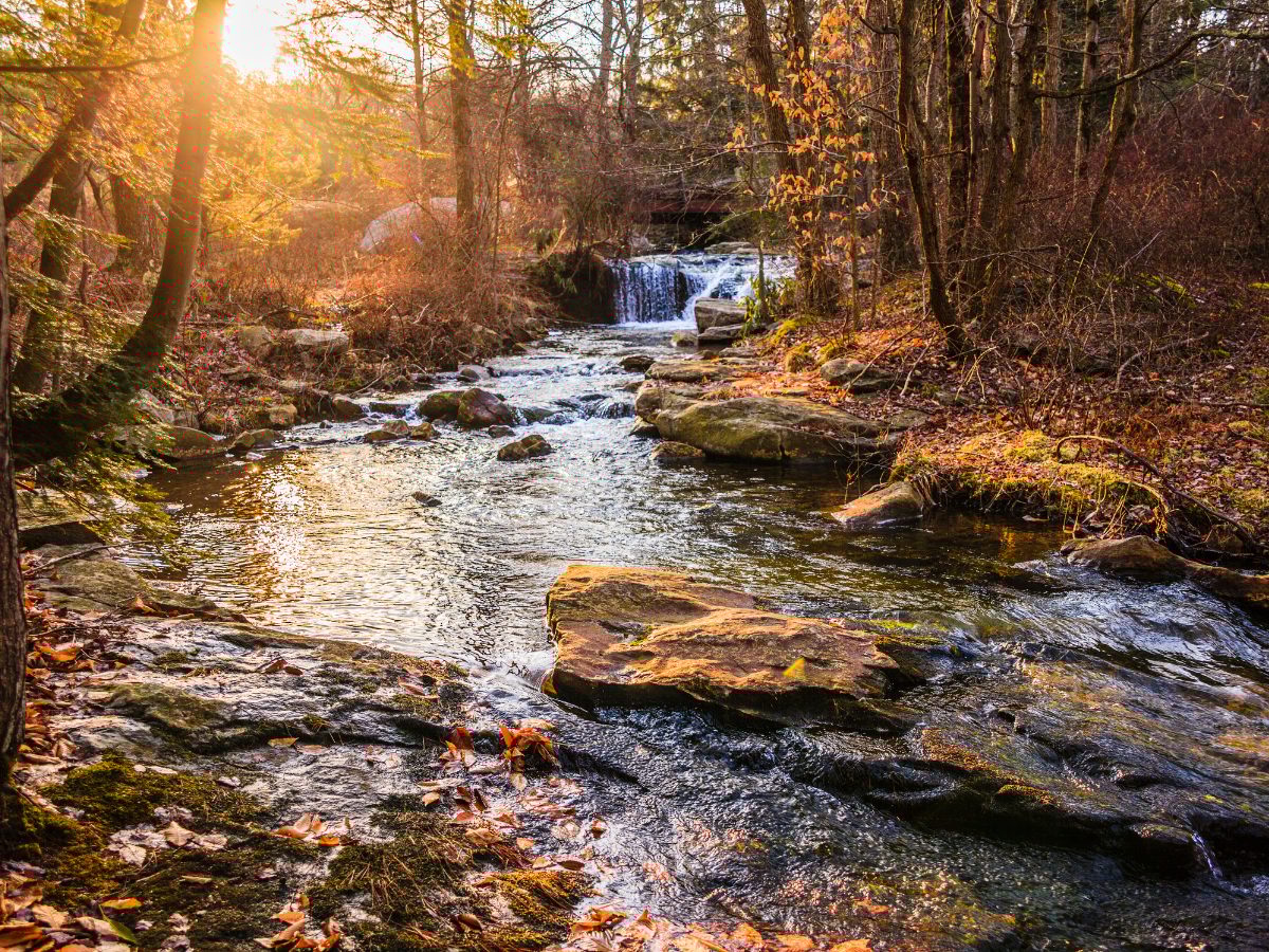 Sunny forest stream with waterfall and fall foliage.