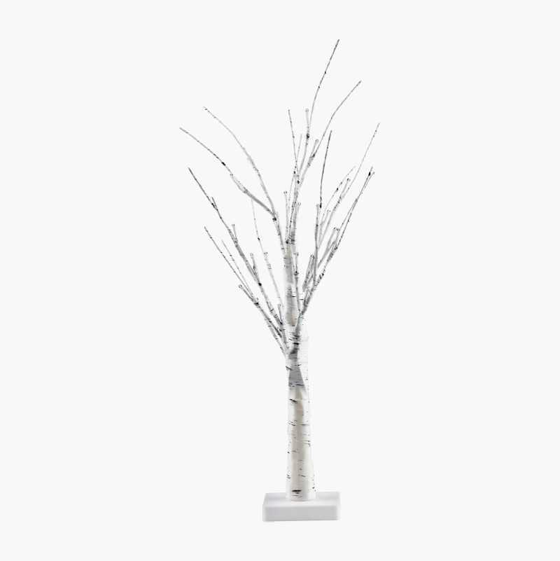 Terrestrial plant, Twig, Tree, Trunk