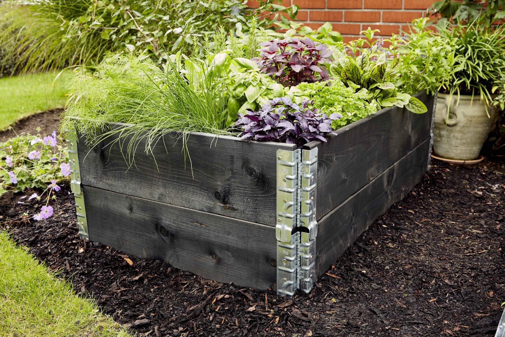 Plant community, Flower, Flowerpot, Houseplant