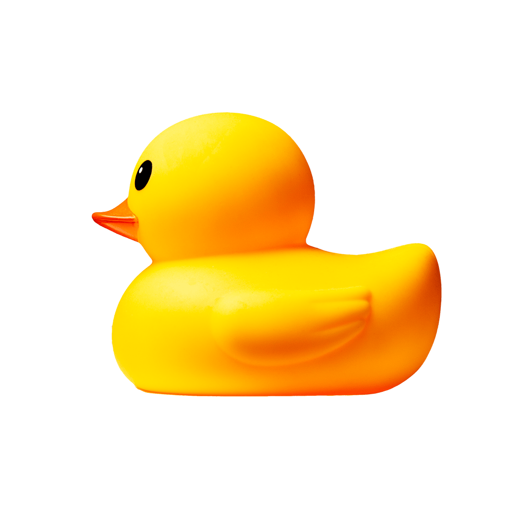 Yellow rubber duck, facing left.