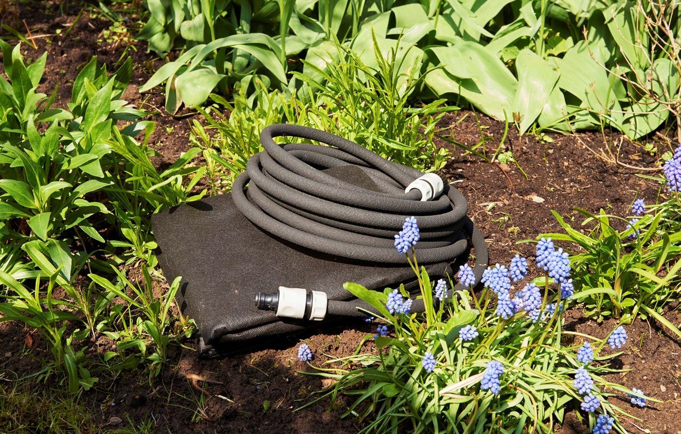 Automotive tire, Plant, Flower, Grass, Tread, Wood