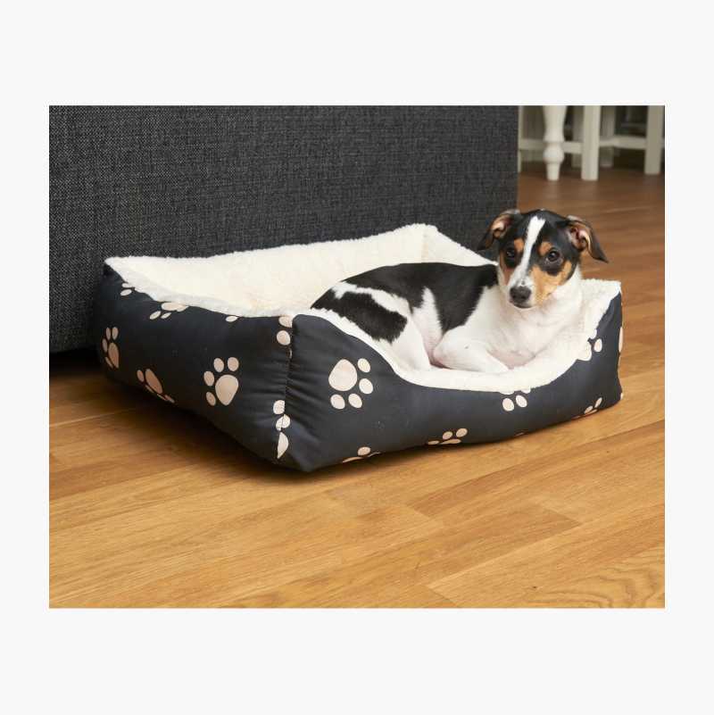 Companion dog, Sleeve, Carnivore, Rectangle