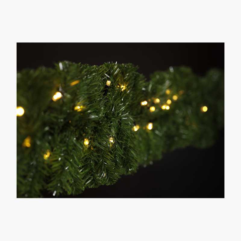 Terrestrial plant, Rectangle, Evergreen