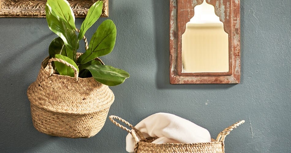 Terrestrial plant, White, Serveware, Dishware, Rectangle, Houseplant, Wood