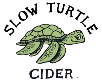 Reptile, Turtle, Organism