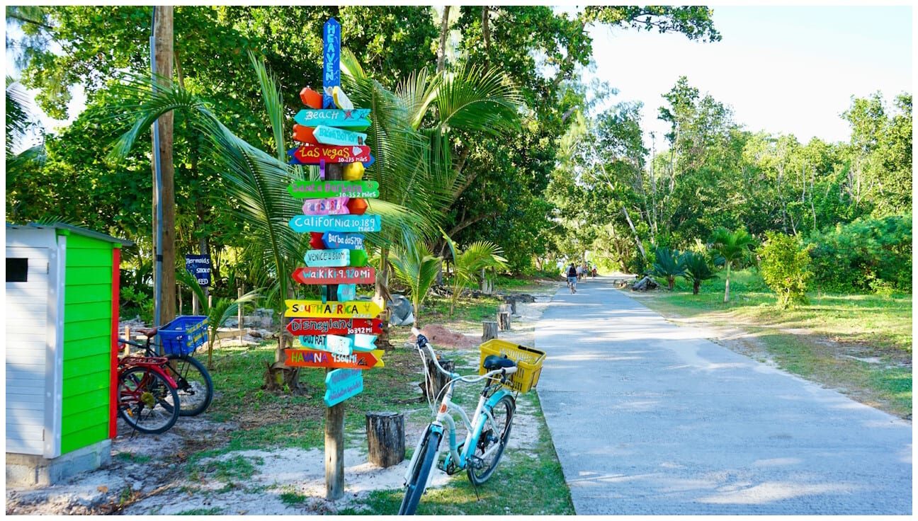 Bicycles--Equipment and supplies, Bicycle wheel, Tire, Plant, Green, Vehicle, Tree