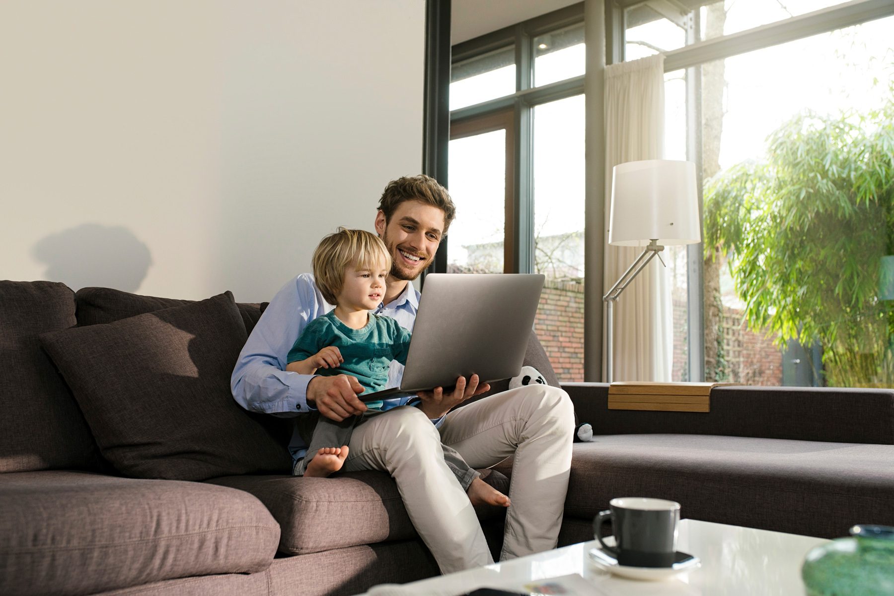 Personal computer, Couch, Photograph, Laptop, Furniture, Comfort, Window, Green, Plant