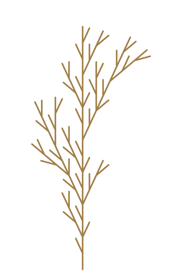 Terrestrial plant, Twig, Tree
