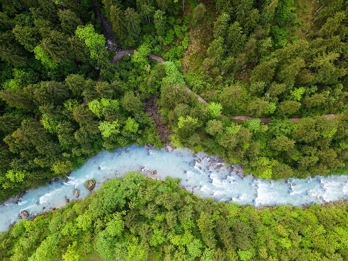 Fluvial landforms of streams, Body of water, Plant community, Natural landscape, Leaf, Watercourse, Bank