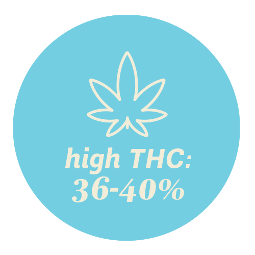 A badge with the text: "High THC: 36 - 40%"