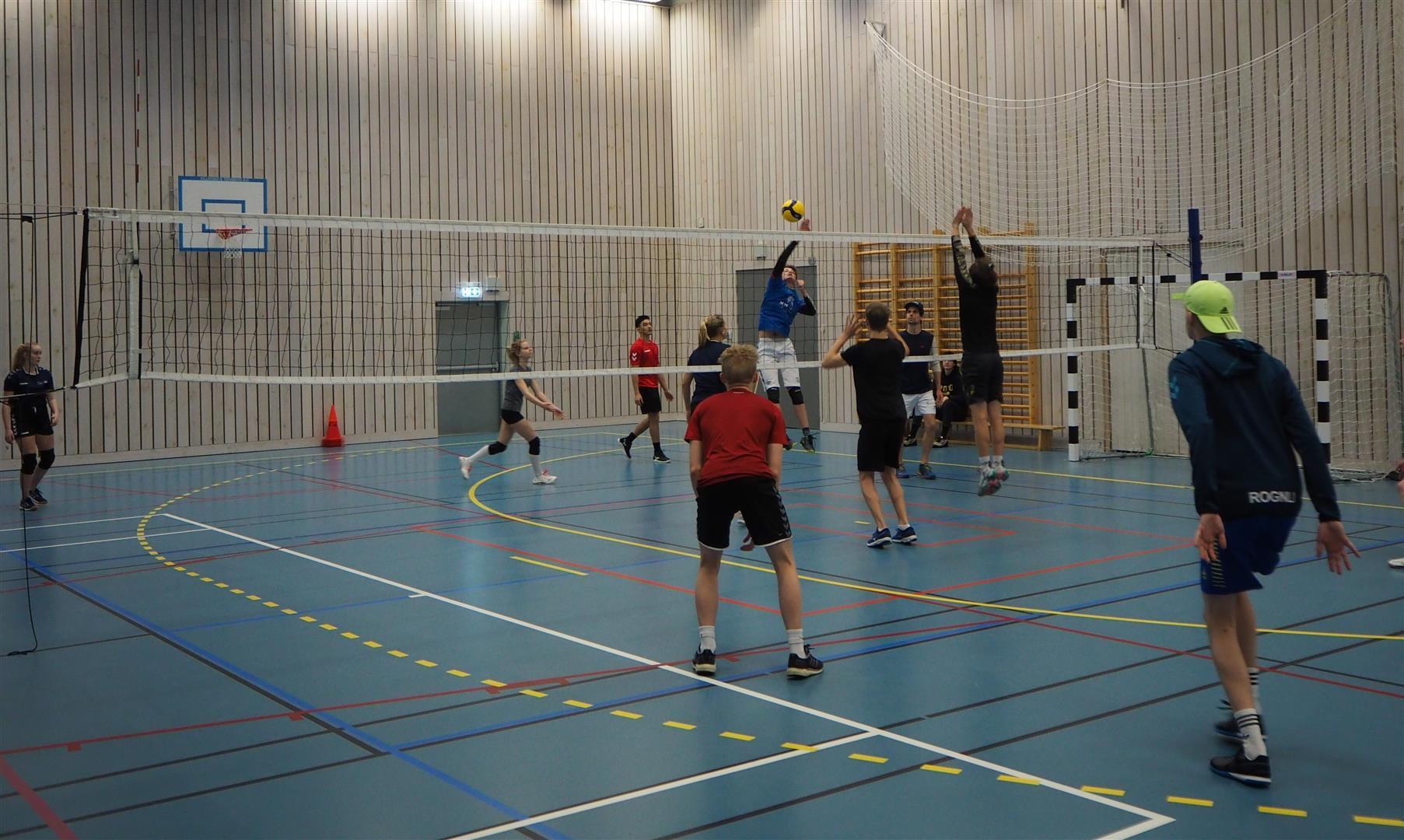 Volleyball net, Active shorts, Sports equipment, Field house, Wallyball, Player