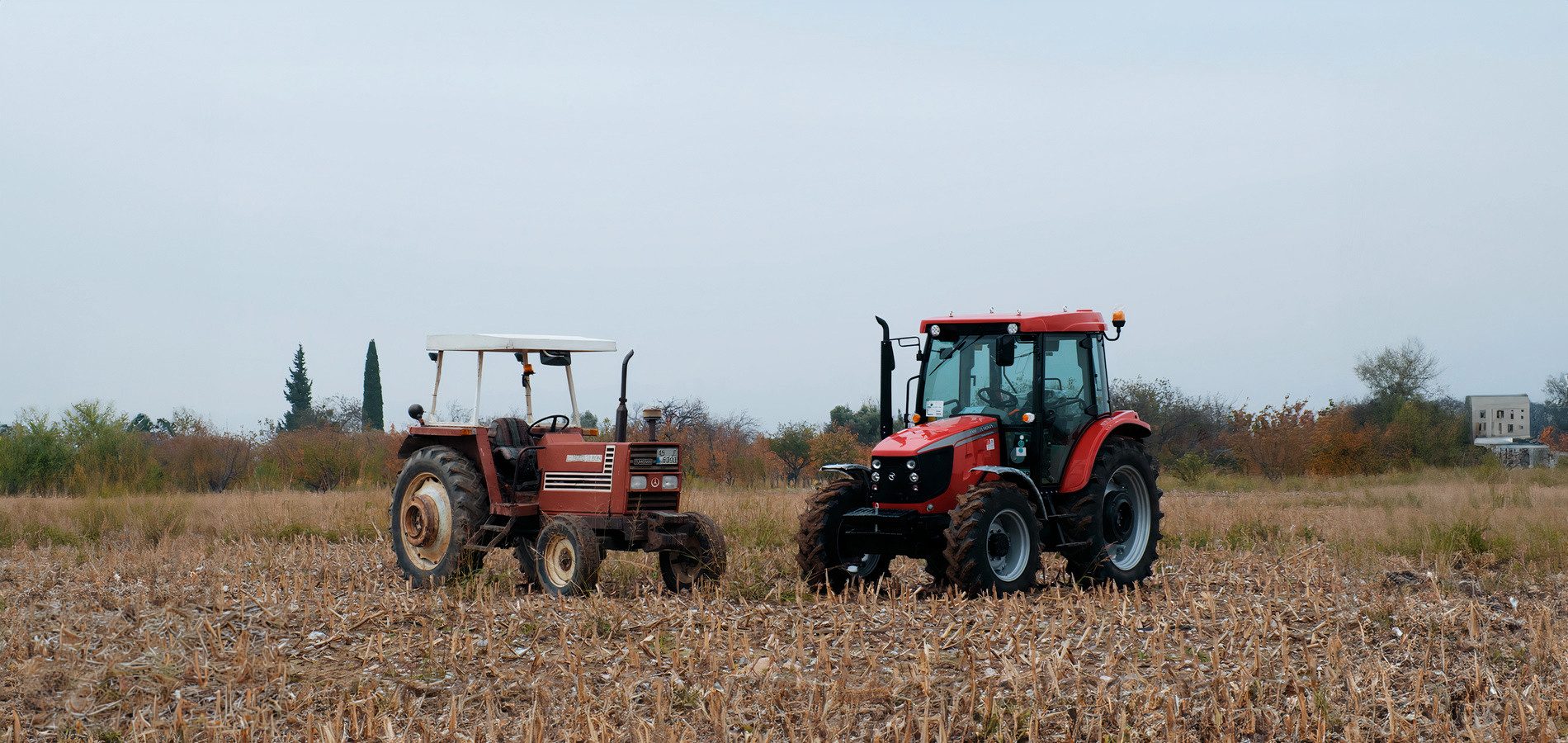 Automotive tire, Agricultural machinery, Motor vehicle, Wheel, Sky, Tractor, Plant, Tread