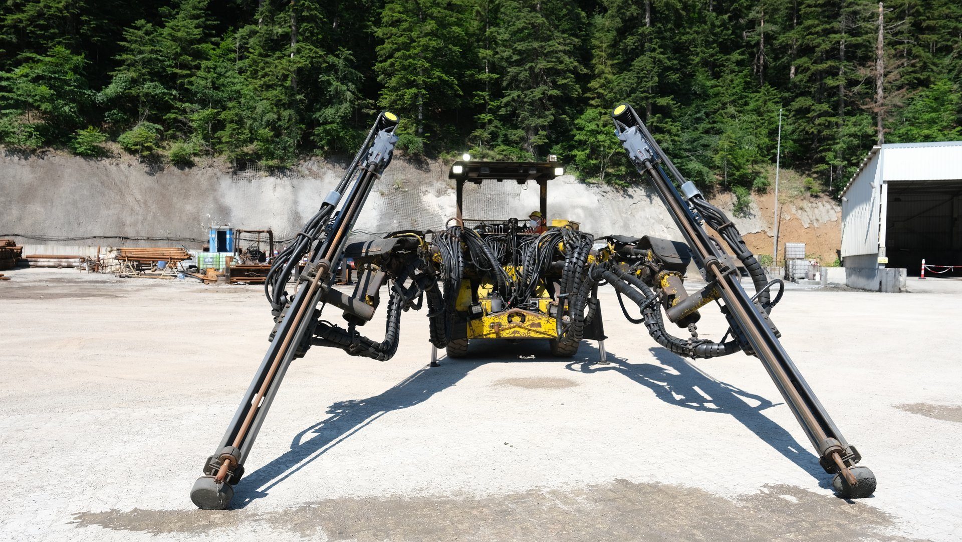 Automotive tire, Road surface, Motor vehicle, Tree, Plant, Asphalt