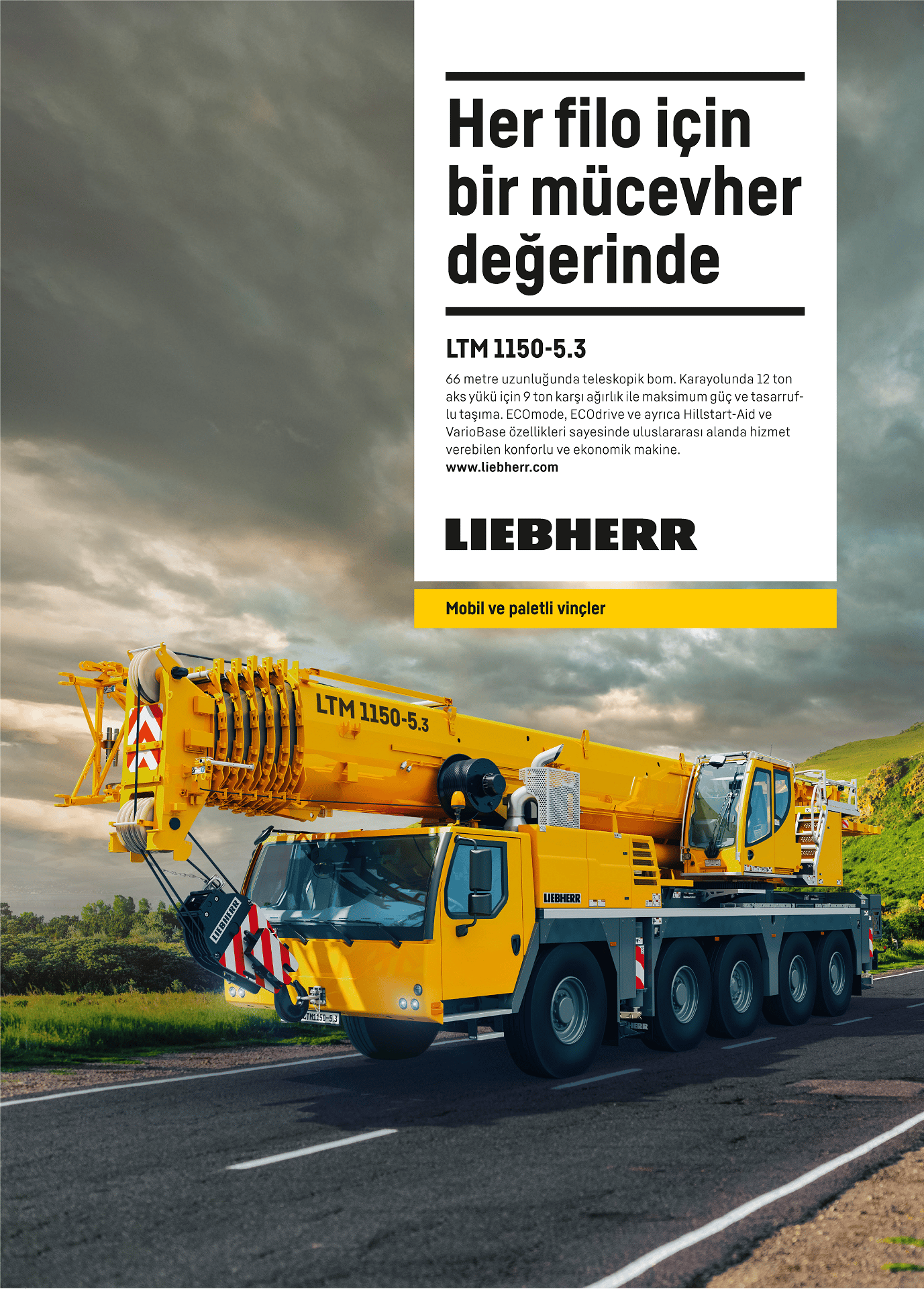 Land vehicle, Automotive tire, Wheel, Cloud, Sky, Plant, Asphalt