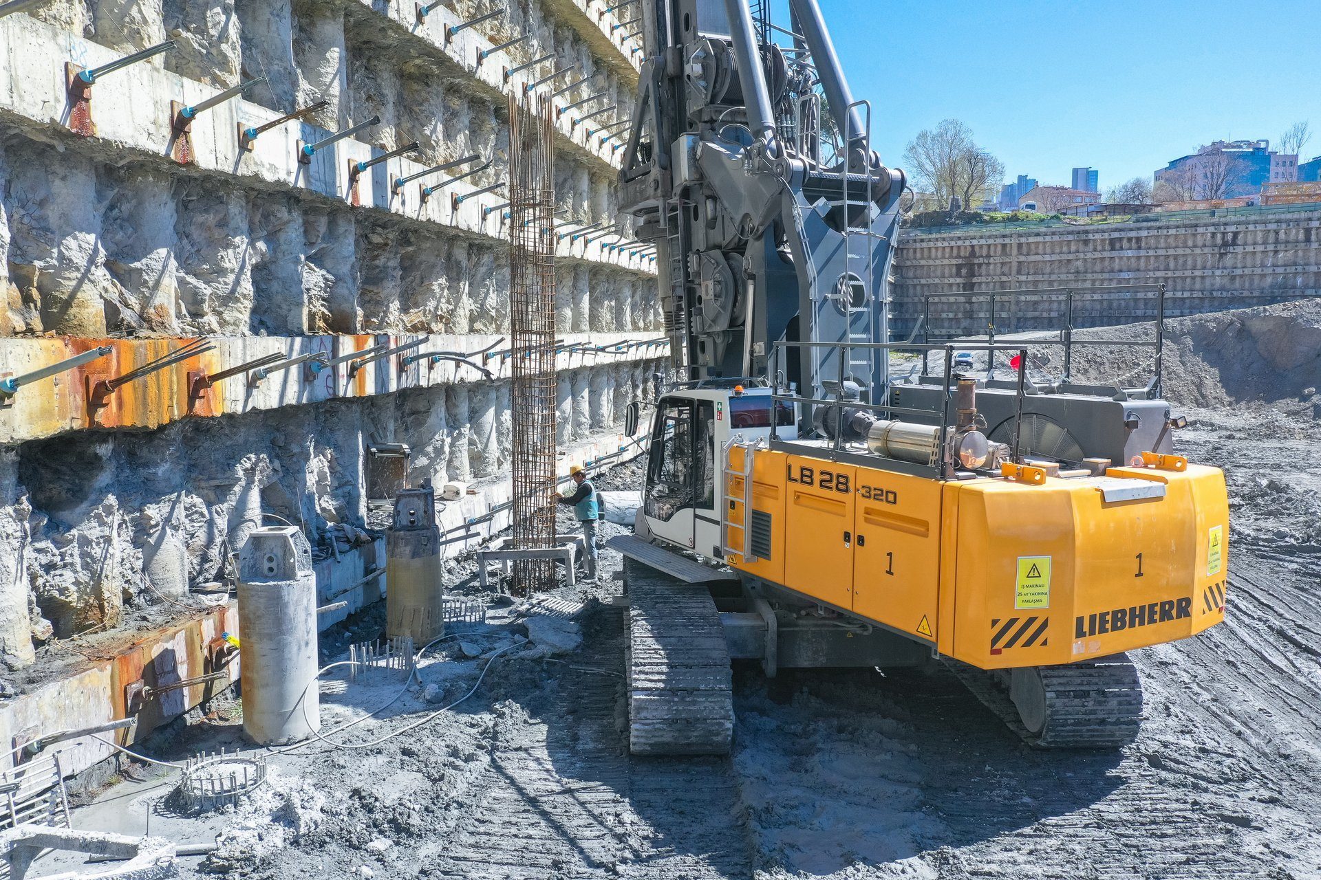 Road surface, Sky, Vehicle, Wood, Tree, Plant