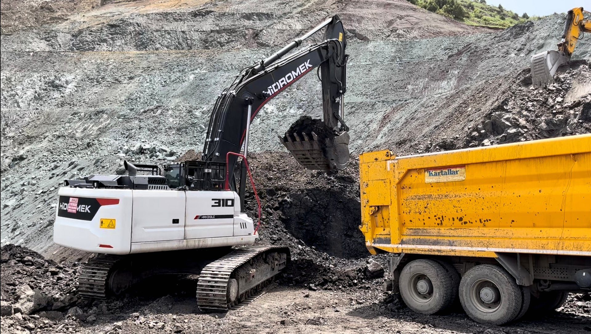 Mode of transport, Vehicle, Slope, Tree, Asphalt