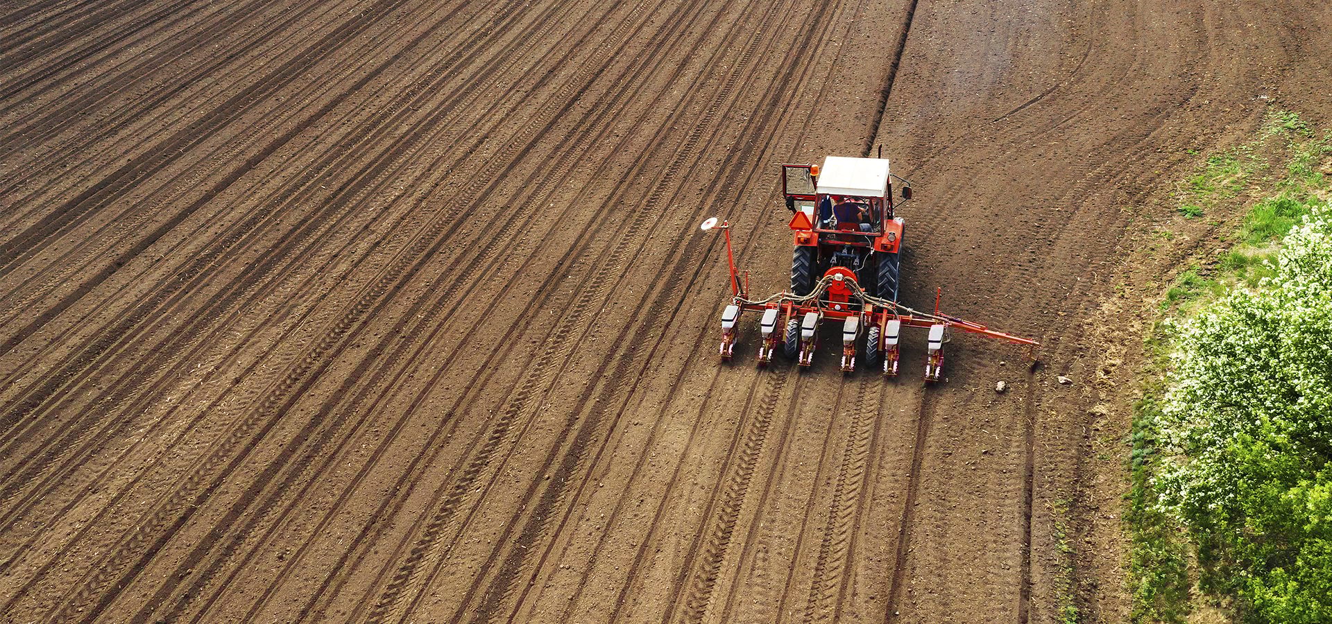 Automotive tire, Road surface, Wheel, Vehicle, Wood, Rolling, Asphalt