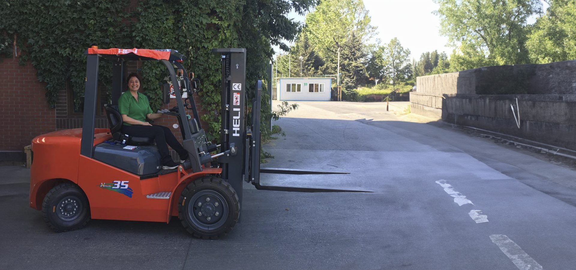 Forklift truck, Automotive tire, Motor vehicle, Road surface, Wheel, Plant, Tread, Tree