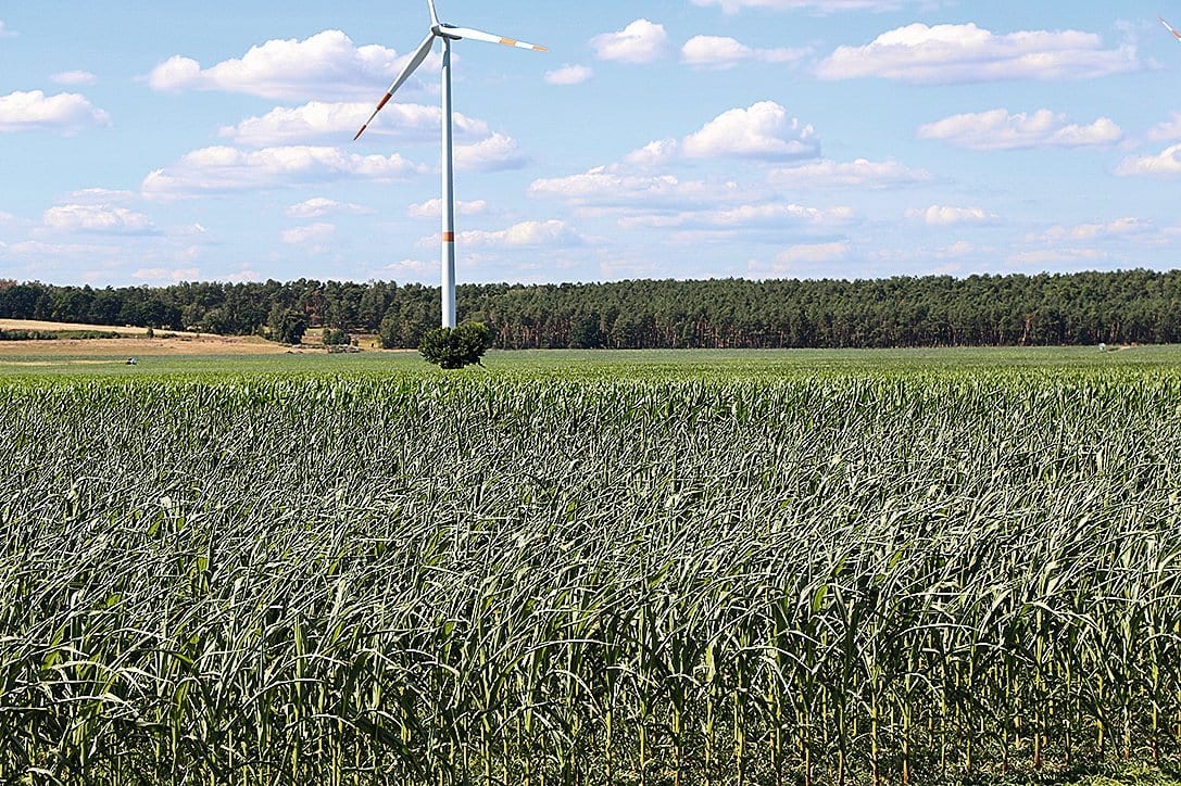Natural landscape, Land lot, Cloud, Sky, Windmill, Plant, Grass, Agriculture, Grassland