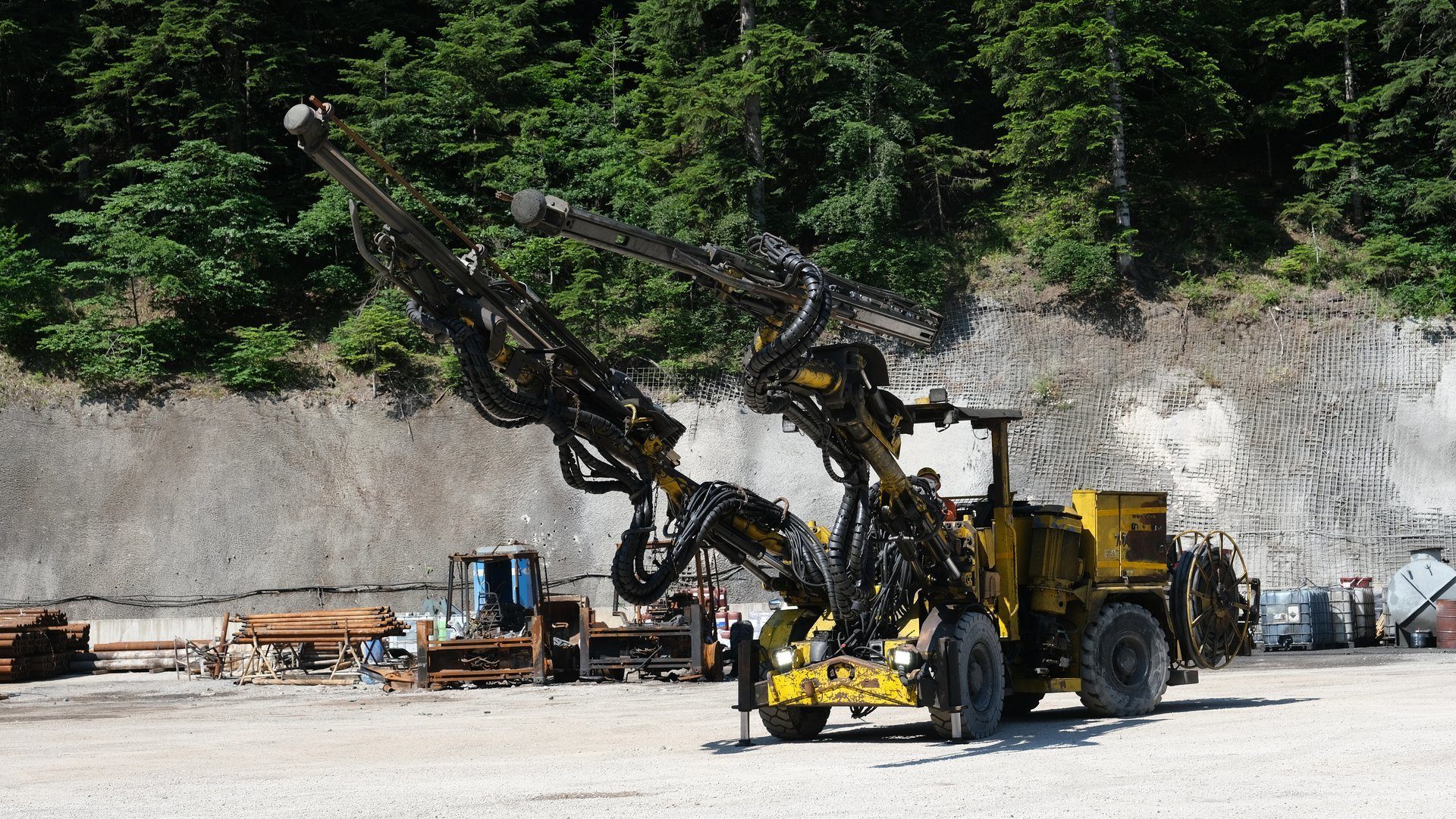 Automotive tire, Motor vehicle, Road surface, Wheel, Infrastructure, Plant, Asphalt, Tree