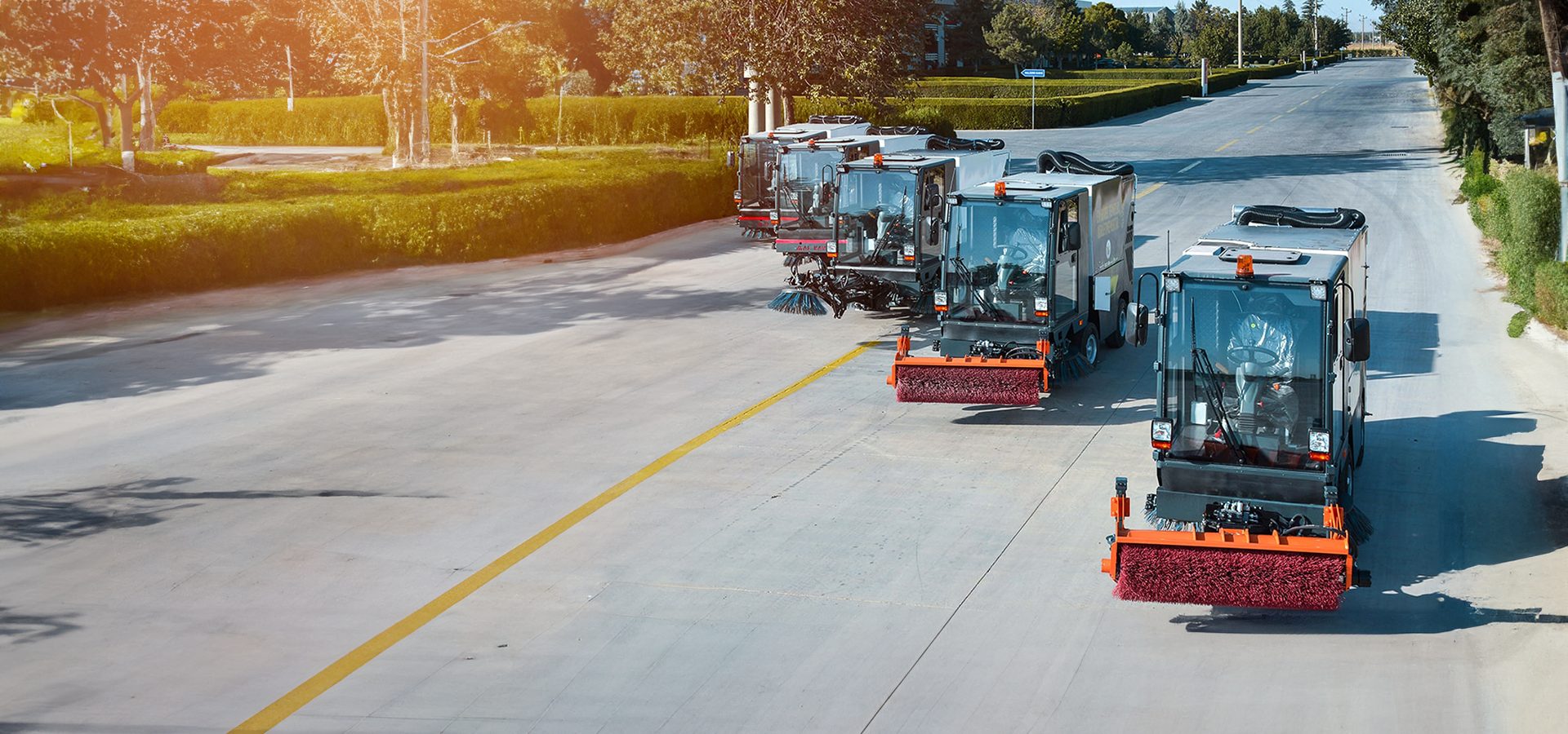 Motor vehicle, Road surface, Automotive tire, Plant, Asphalt, Tree, Wheel, Rolling