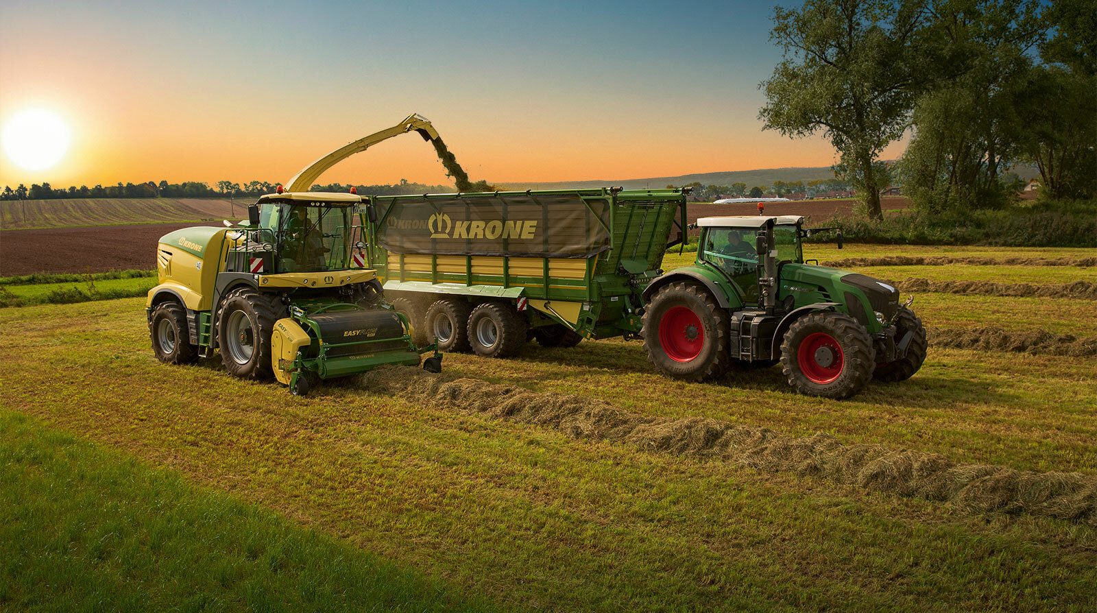 Land vehicle, Automotive tire, Agricultural machinery, Natural environment, Wheel, Sky, Plant, Tractor