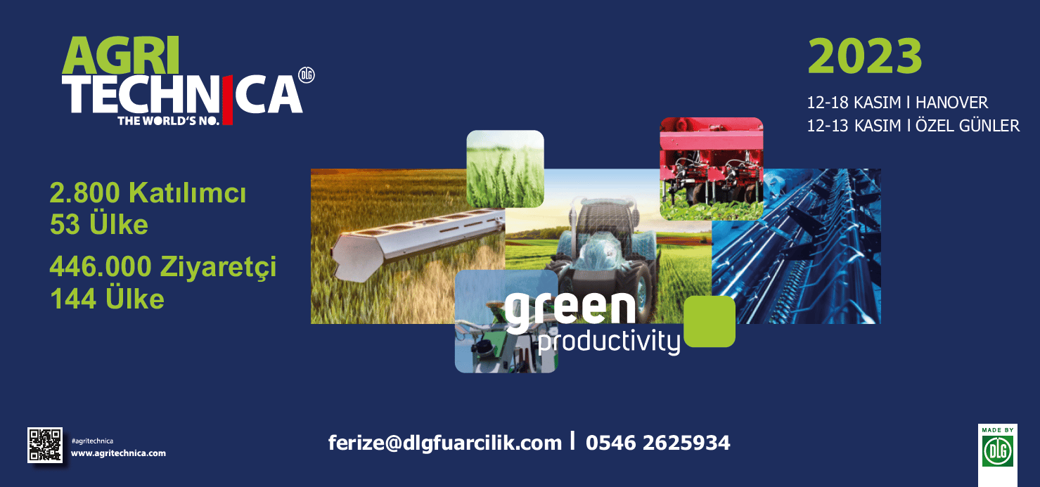 Terrestrial plant, Product, Font, Grass