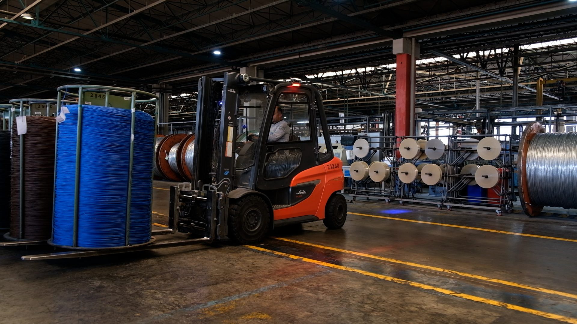 linde, hasel, t&#xFC;rk priysmian, forklift
