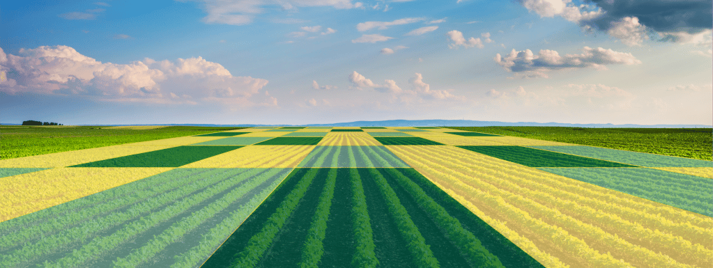 People in nature, Natural landscape, Land lot, Cloud, Sky, Plant, Agriculture, Grass