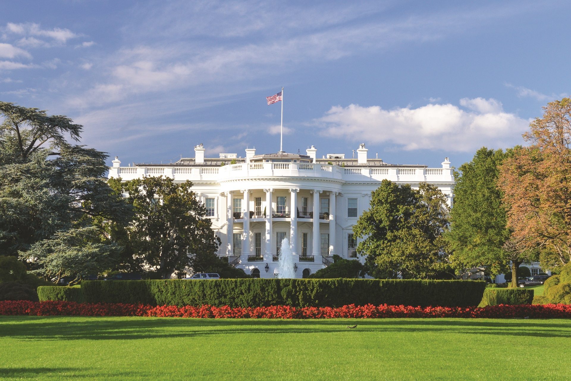 Cloud, Sky, Plant, Building, Architecture, Tree, Grass, Flag