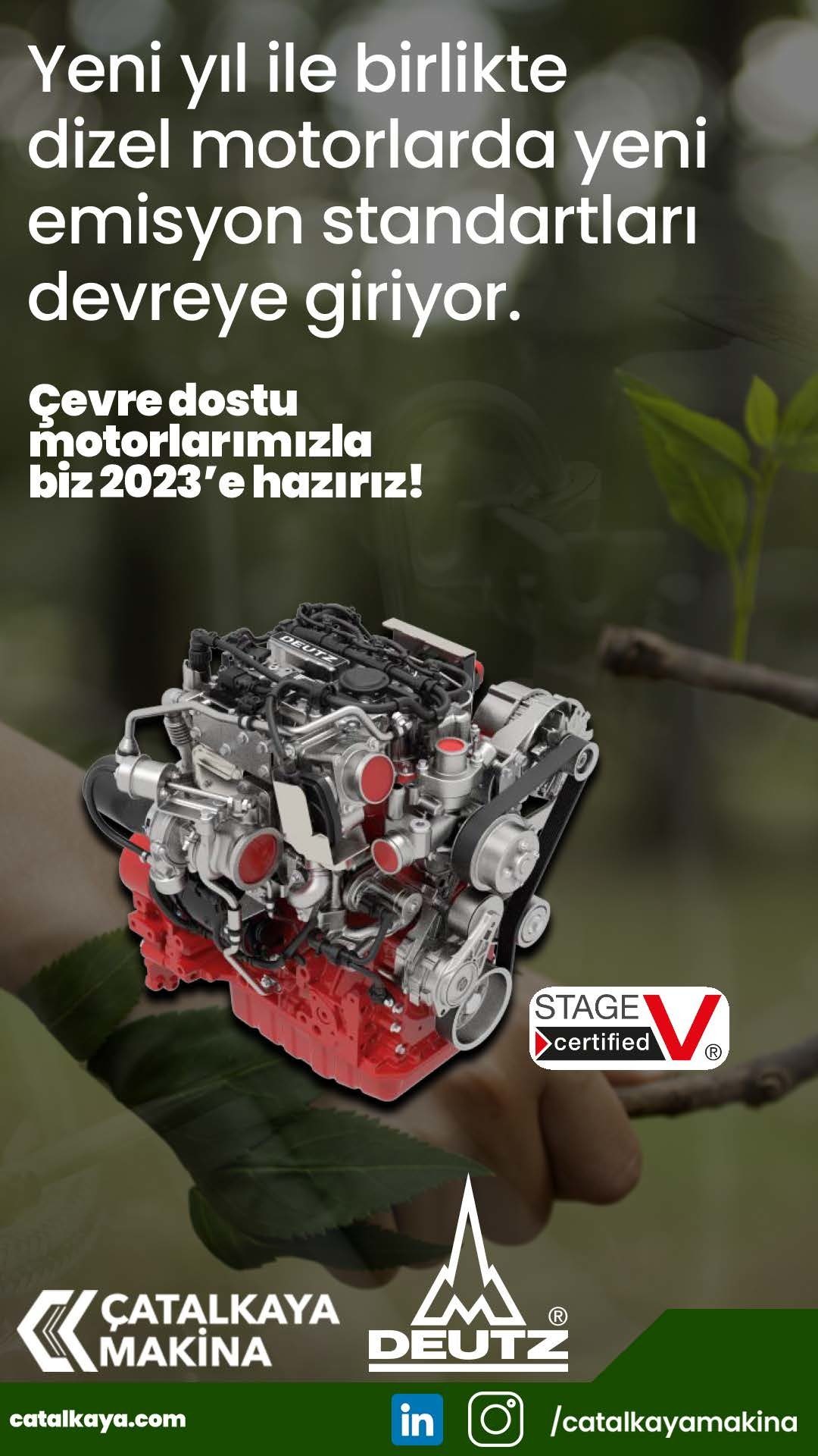 Terrestrial plant, Poster, Font