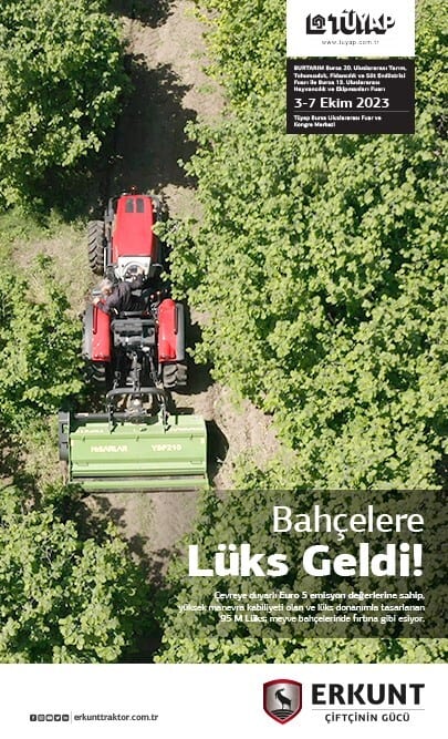 Motor vehicle, Woody plant, Vegetation, Wheel, Tractor, Grass, Shrub