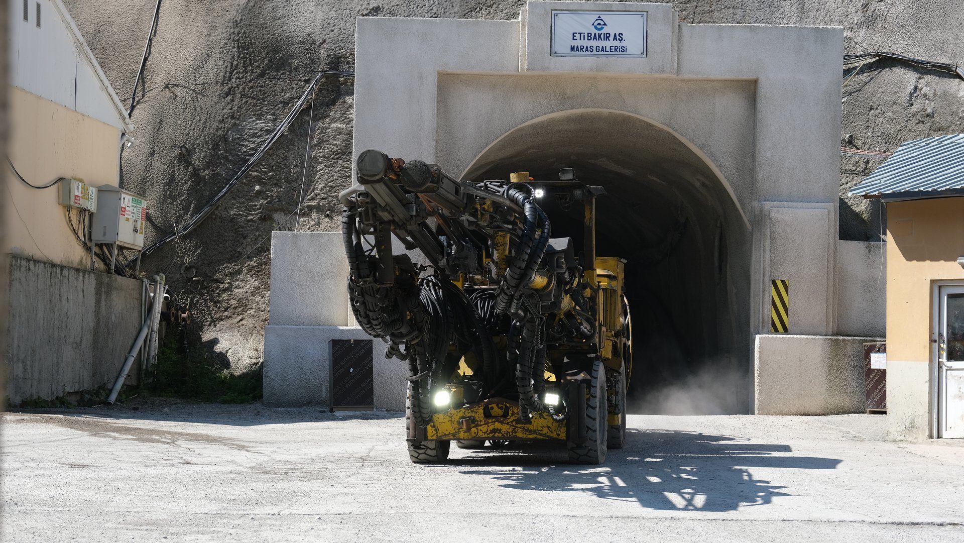 Automotive tire, Road surface, Motor vehicle, Wheel, Plant, Tread, Asphalt