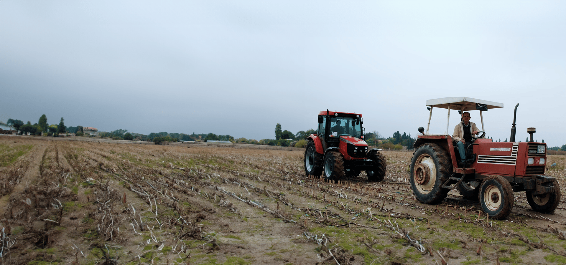 Motor vehicle, Automotive tire, Agricultural machinery, Wheel, Tractor, Sky, Plant, Tread