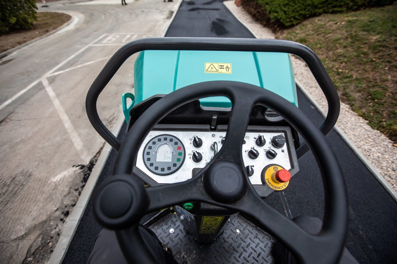 Automotive design, Steering wheel, Motor vehicle, Plant, Car, Green, Hood