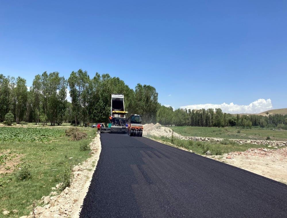Motor vehicle, Road surface, Plant, Tire, Sky, Wheel, Truck, Tree, Asphalt