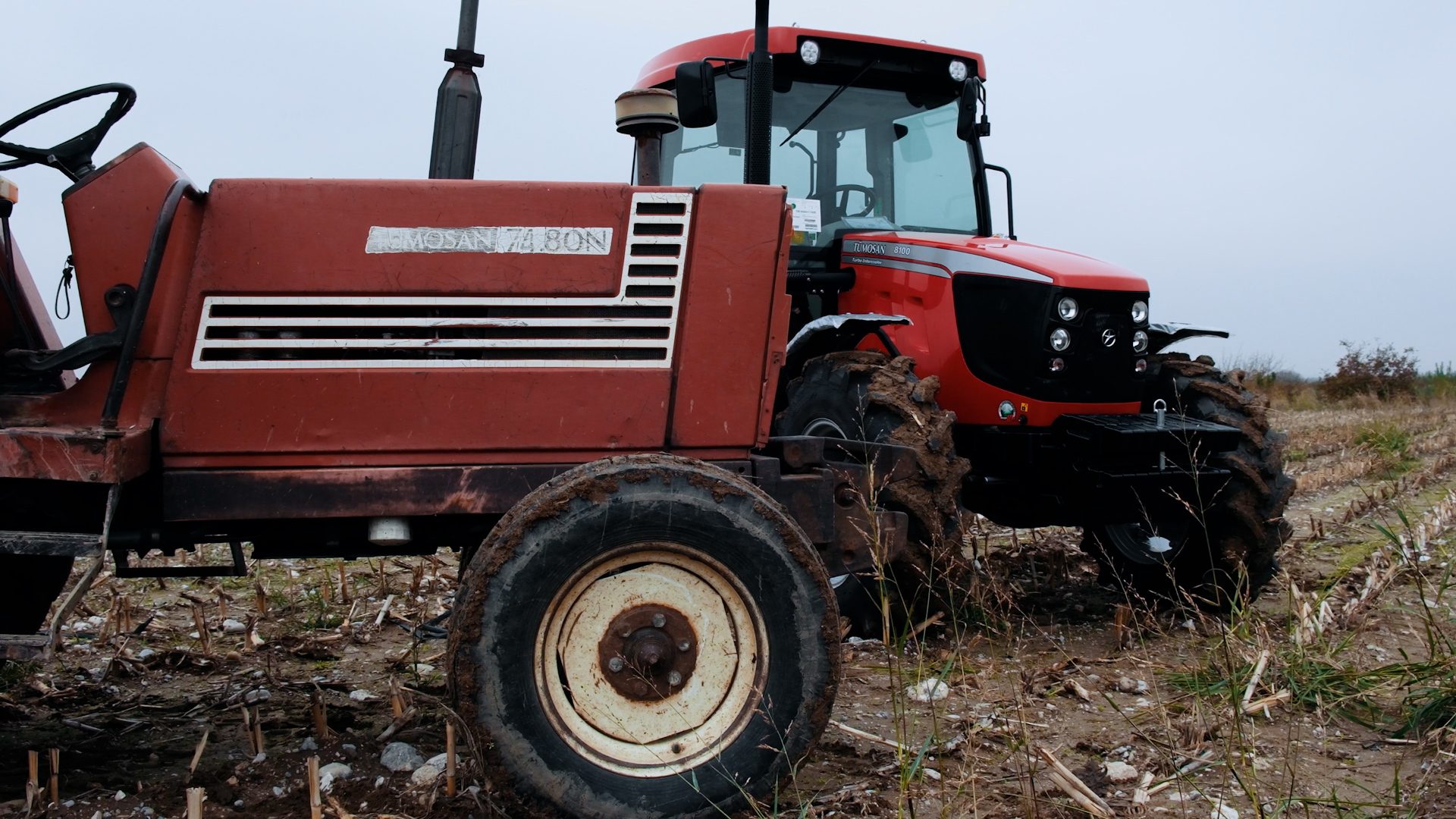 Motor vehicle, Automotive tire, Agricultural machinery, Wheel, Tractor, Sky, Tread, Plant