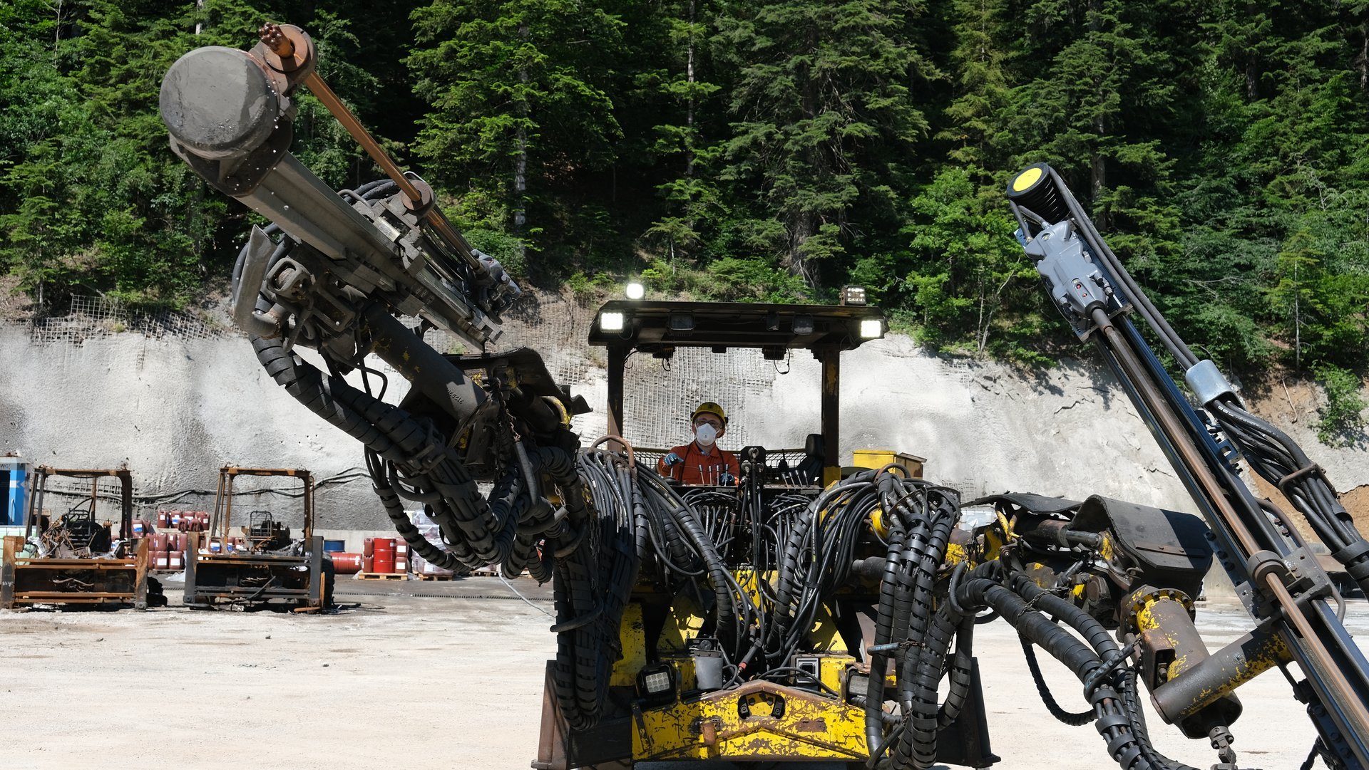 Mode of transport, Motor vehicle, Automotive tire, Road surface, Wheel, Asphalt, Tree, Plant, Rolling