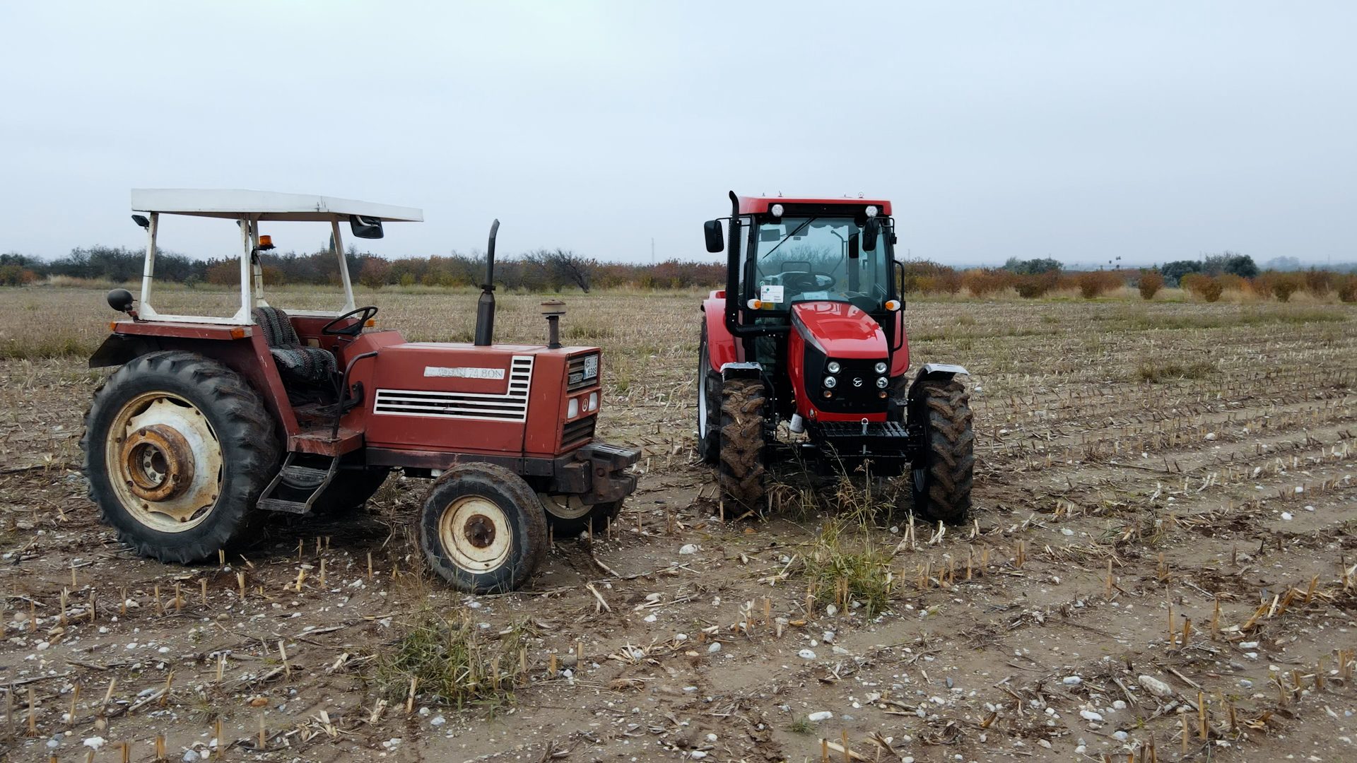 Automotive tire, Motor vehicle, Agricultural machinery, Wheel, Sky, Tractor, Plant, Tread