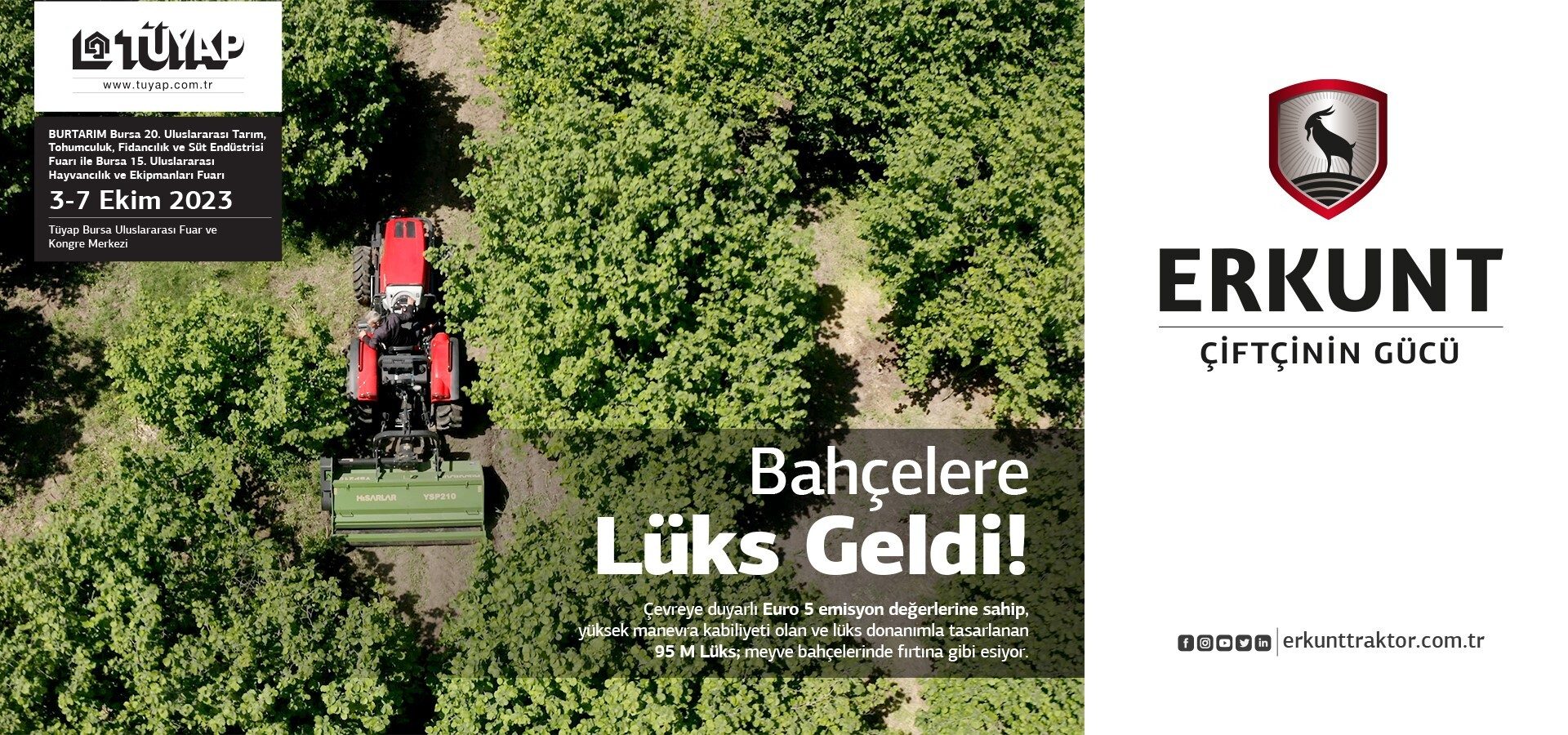 Land lot, Woody plant, Nature, Botany, Vegetation, Grass, Font