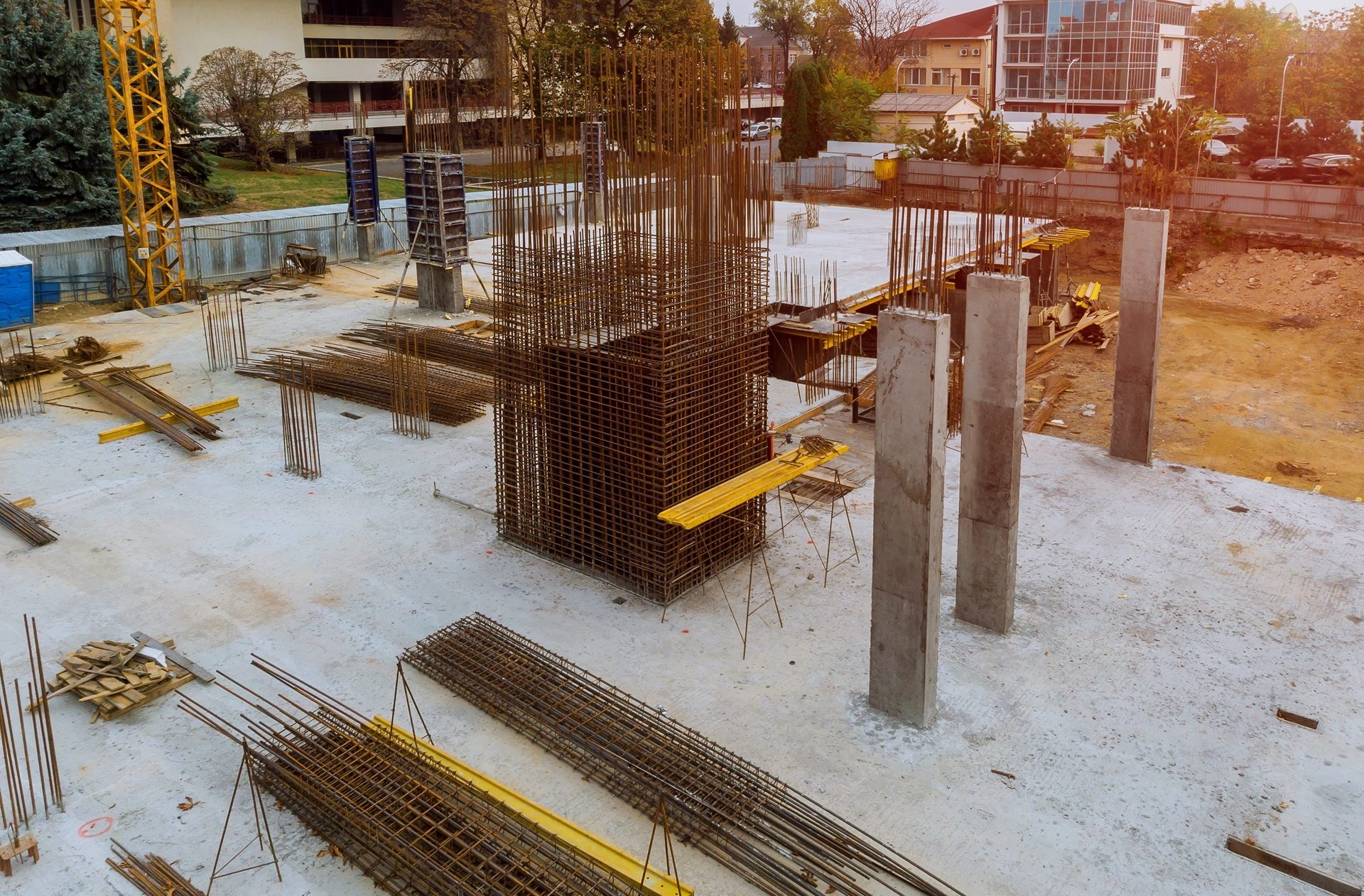 Road surface, Urban design, Plant, Building, Wood, Tree, Asphalt